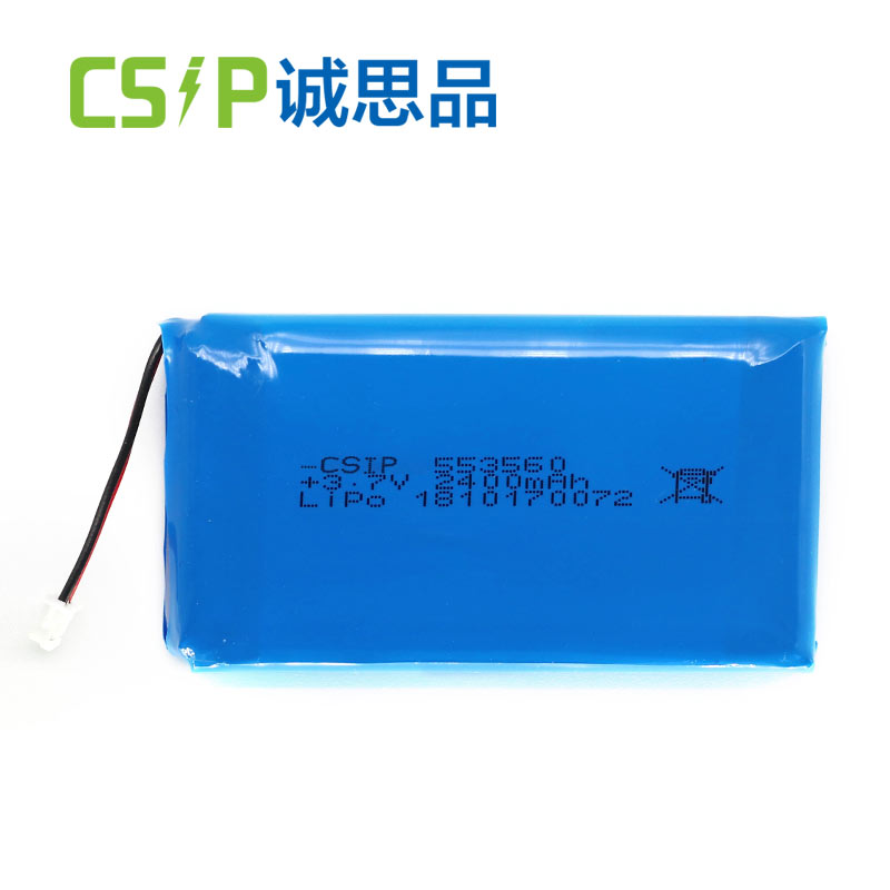 portable lithium battery