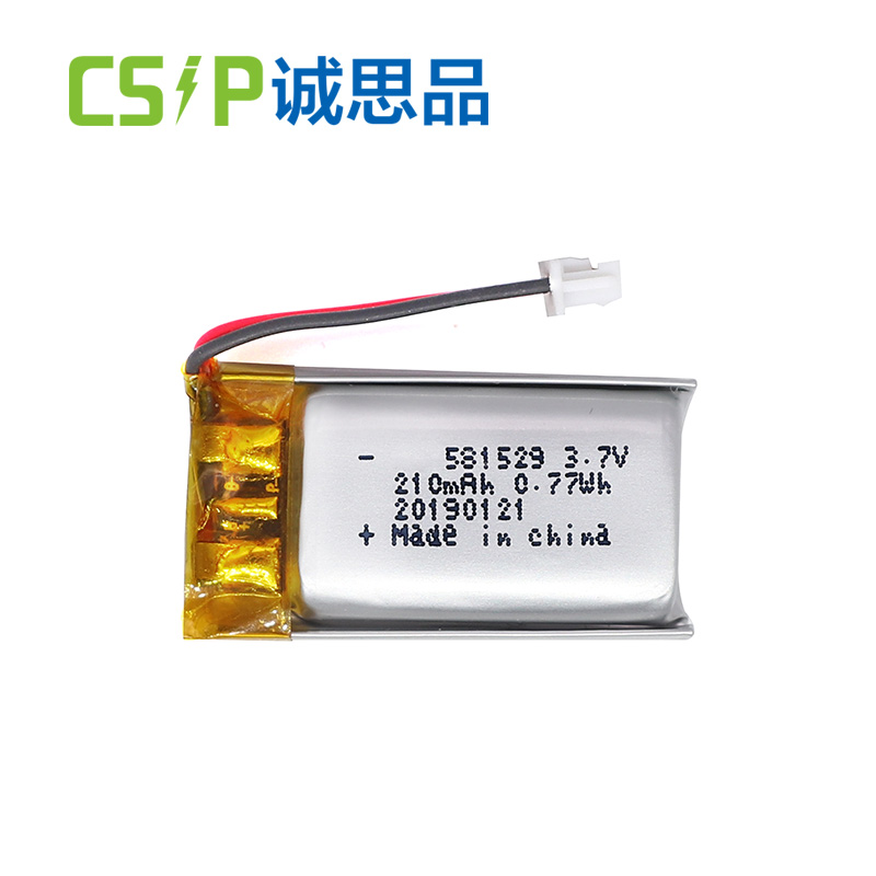 Reasons Why Li-Polymer Batteries Are More Expensive Than Regular Lithium Batteries-CSIP